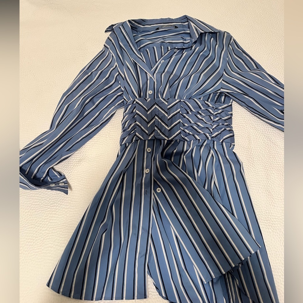 Blue and White Striped Button Down Zara Dress with Corset Detail